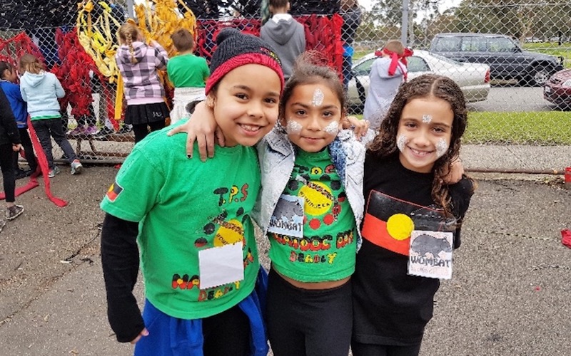 Introducing Malpa’s Young Doctors for Life Program: A community-centred approach to achieving strong health and wellbeing outcomes for Aboriginal and Torres Strait Islander peoples