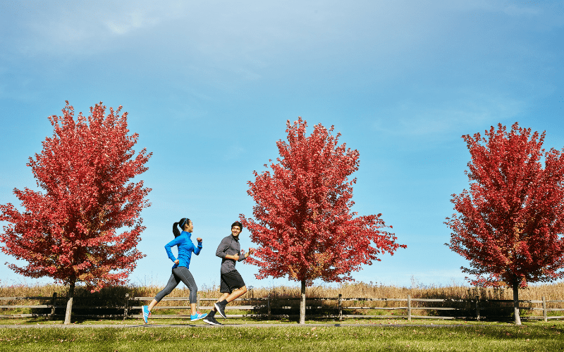 Two people running with red trees in the background