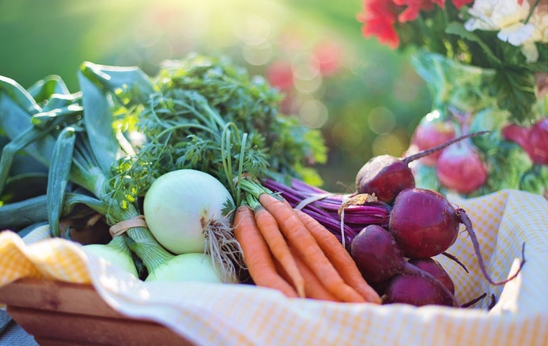 Basket of vegetables