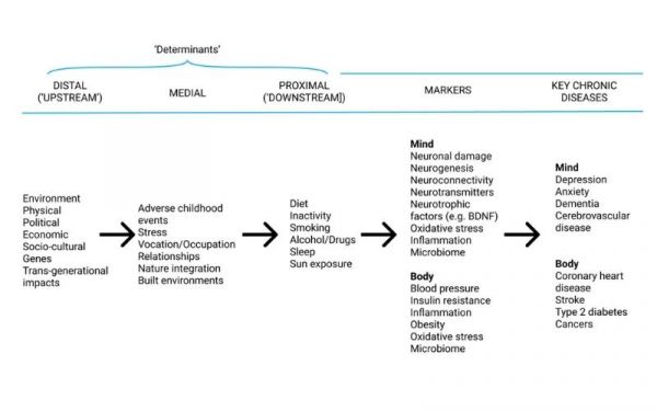 Lifestyle Medicine Model of Disease