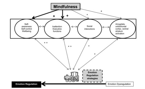 Figure 1: Mindfulness and emotion regulation improvements