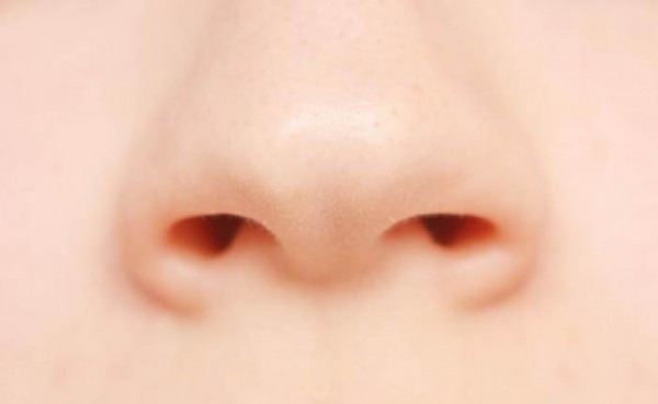 nose image